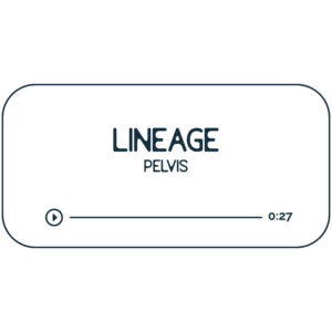 Audio file graphic for the pelvis energy work session. It has a beige background and dark indigo colored text that reads "Lineage Pelvis" with a Play indicator button and indicator that it is 27 minutes long.