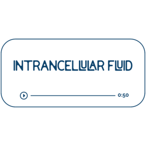 Audio file graphic for the intracellular energy work sessions. It has a beige background and blue colored text that reads “Intracellular Fluid” with a Play indicator button and indicator that it is 50 minutes long.