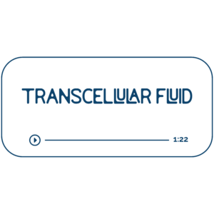 Audio file graphic for the transcellular energy work sessions. It has a beige background and blue colored text that reads “Transcellular Fluid” with a Play indicator button and indicator that it is 72 minutes long.