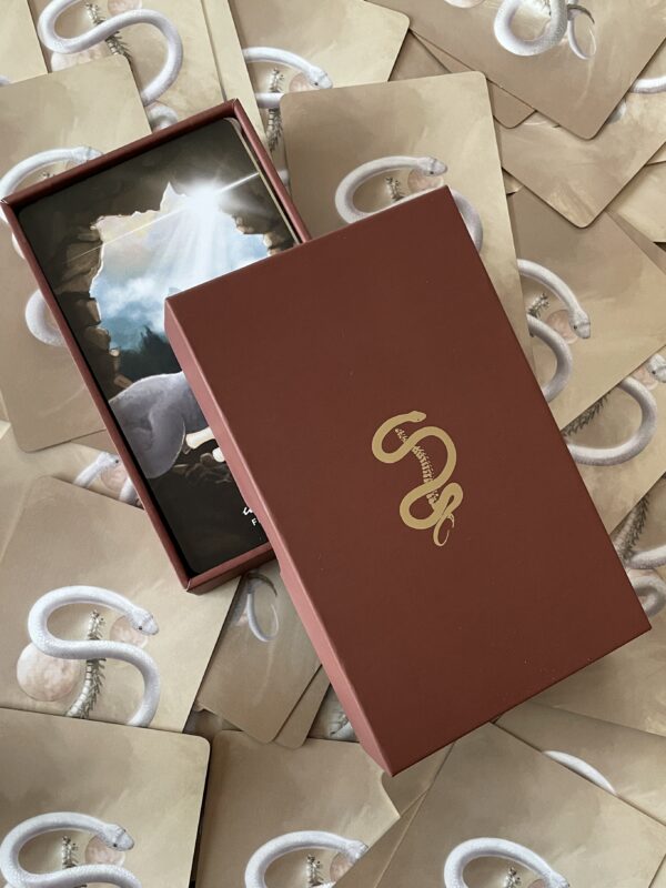 Bone Codes oracle deck and instructional guide - Ash Stinson