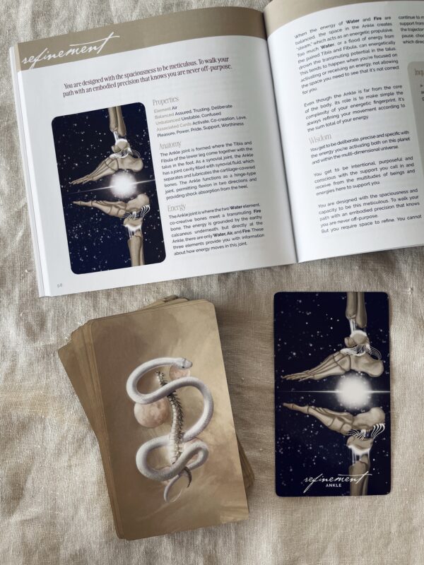 Bone Codes oracle deck and instructional guide - Ash Stinson
