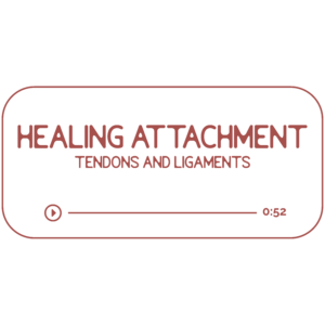 Audio file graphic for the tendon and ligament energy work session. It has a beige background and rosebud colored text that reads “Healing “Attachment: tendons and ligaments” with a Play indicator button and indicator that it is 52 minutes long.