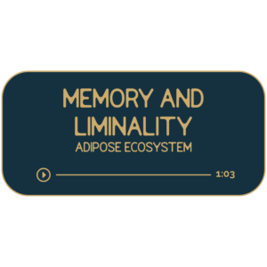 Memory and Liminality: Your Adipose Ecosystem