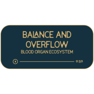 Balance and Overflow: Your Blood Organ Ecosystem