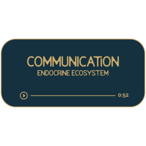 Communication: Your Endocrine Ecosystem