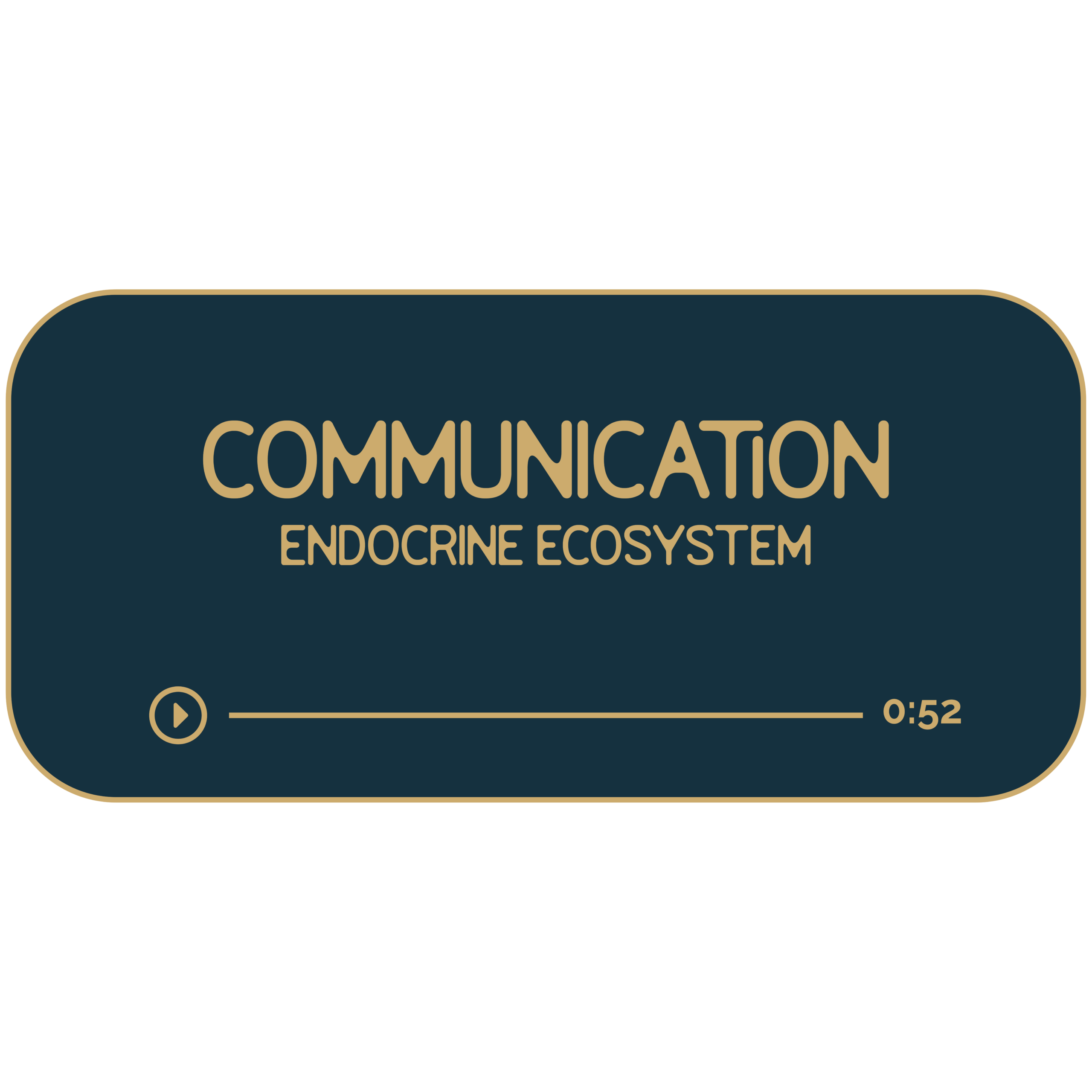 Communication: Your Endocrine Ecosystem