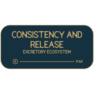 Consistency and Release: Your Excretory Ecosystem