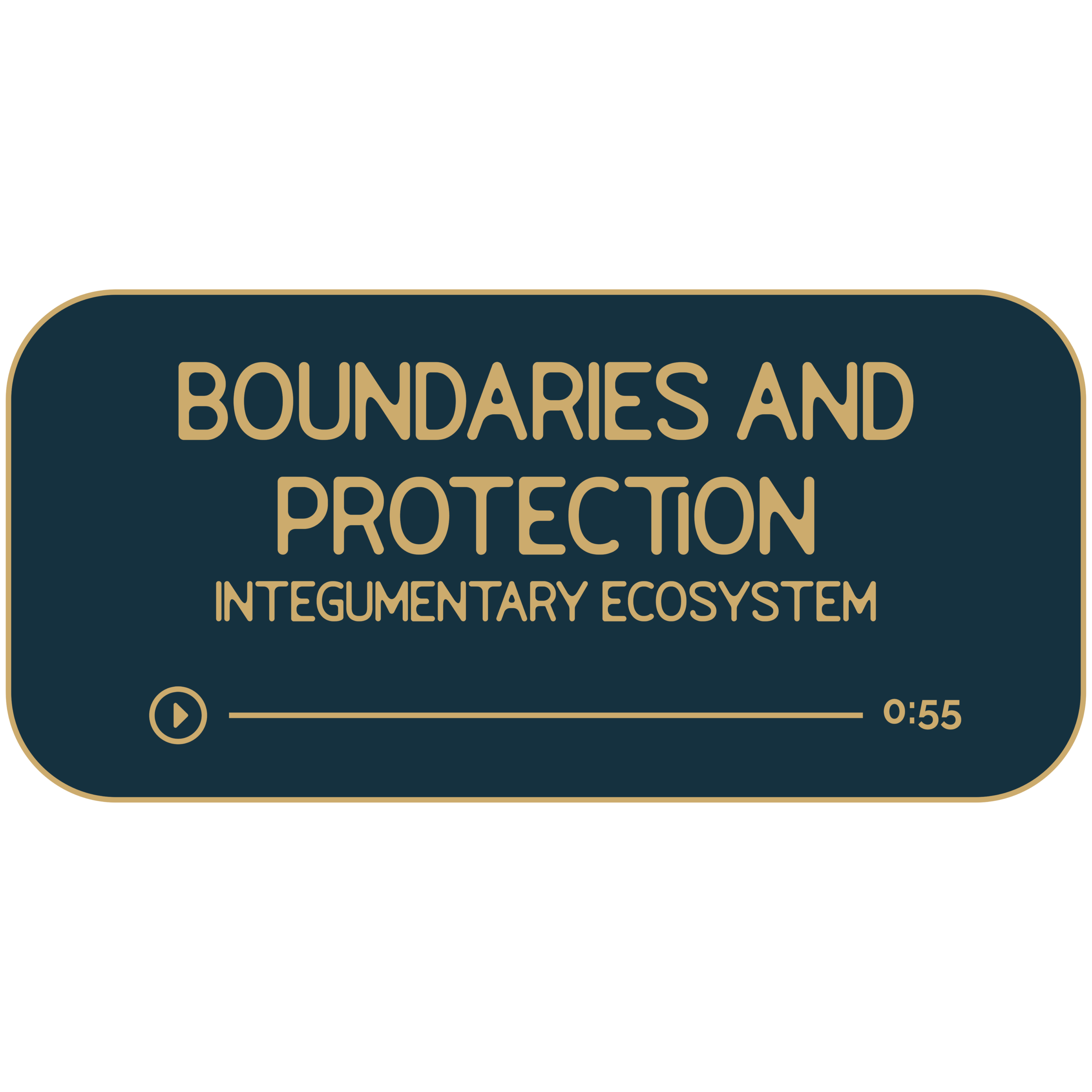 Dark navy rectangle with tan outline and text. Title reads: Boundaries and Protection. Sub title reads: Integumentary Ecosystem. Beneath is a hand-drawn divider to look like a progress bar for a music track. It indicates that the recording is 55-minutes long.