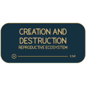 Creation and Destruction: Your Reproductive Ecosystem