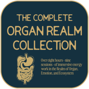 Dark navy square with tan outline and text. Title reads: Complete Organ Realm Collection. Beneath is a hand-drawn digestive system illustration and beside it is the text: Over eight hours - nine sessions - of immersive energy work in the Realm of Organ, Emotion, and Ecosystem