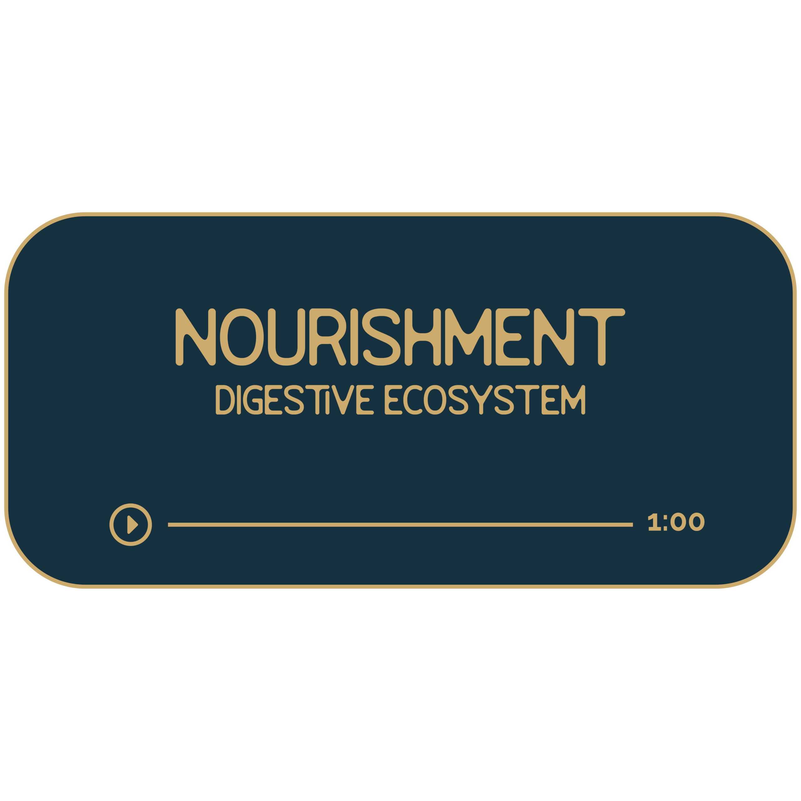 Dark navy rectangle with tan outline and text. Title reads: Nourishment. Sub title reads: Digestive Ecosystem. Beneath is a hand-drawn divider to look like a progress bar for a music track. It indicates that the recording is 60-minutes long.