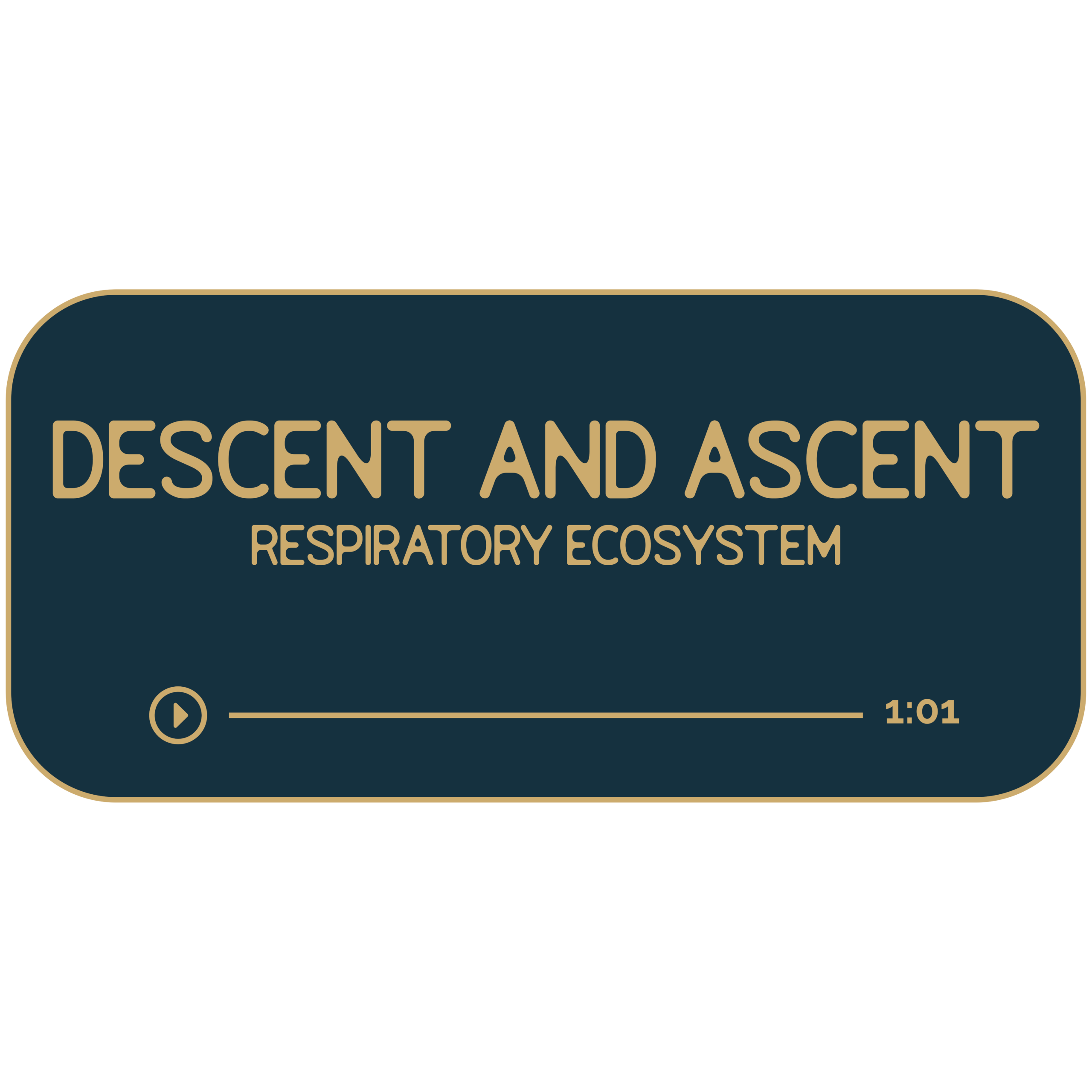 Dark navy rectangle with tan outline and text. Title reads: Descent and Ascent. Sub title reads: Respiratory Ecosystem. Beneath is a hand-drawn divider to look like a progress bar for a music track. It indicates that the recording is 61-minutes long.