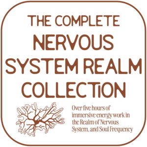 Transparent square with chestnut brown outline and text. Title reads: The Complete Nervous System Realm Collection. Beneath is an outline of a nerve ending illustration and beside it is the text: Over five hours of immersive energy work in the Realm of Nervous System and Soul Frequency.