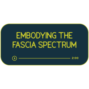 Dark navy rectangle with citrine green outline and text. Title reads: Embodying the Fascia Spectrum Beneath is a hand-drawn divider to look like a progress bar for a music track. It indicates that the recording is 2 hours long.