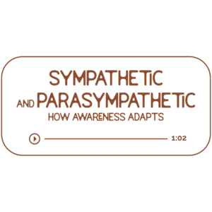 Audio file graphic for the Sympathetic and Parasympathetic energy work sessions. It has a transparent background and chestnut colored text that reads “How Awareness Adapts” with a Play indicator button and indicator that it is 1 hour and 2 minutes long.